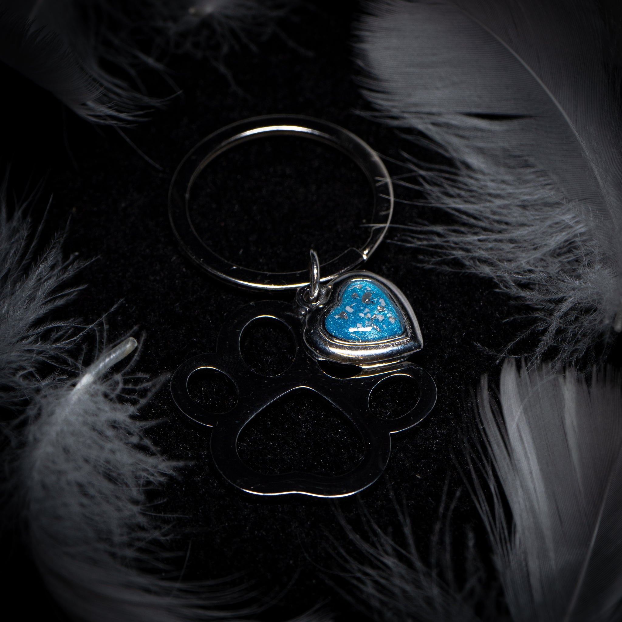 Paw Keyring with Heart Charm (Stainless Steel)