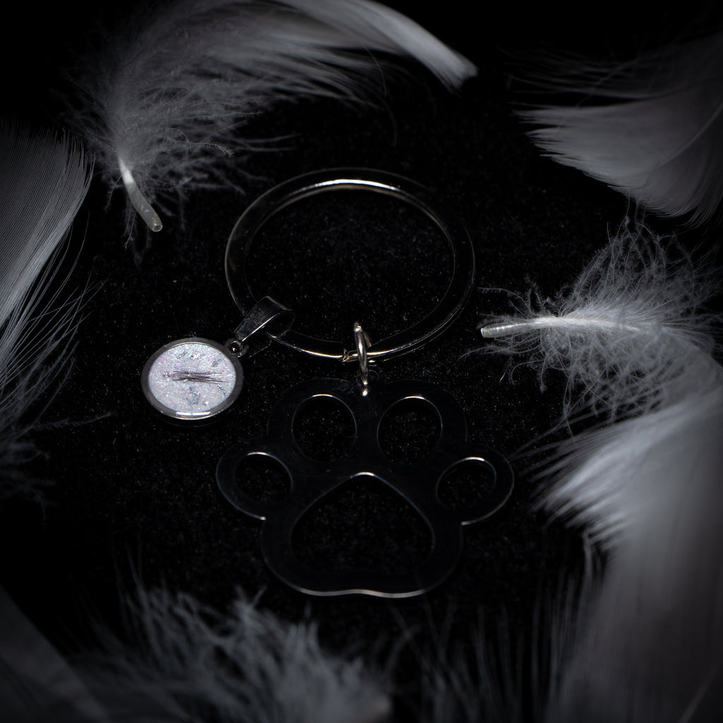 Paw Keyring with Circle Charm (Stainless Steel)