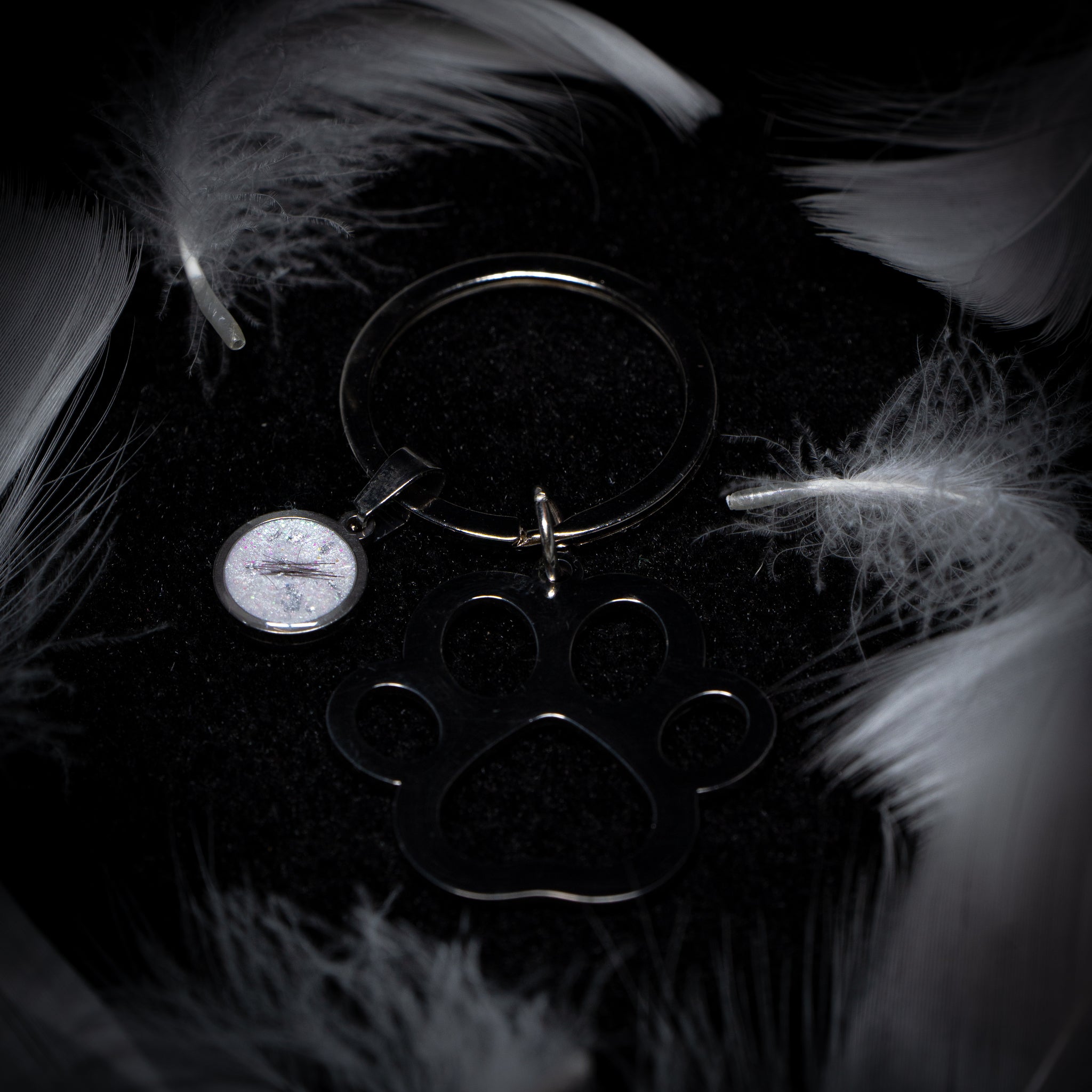 Paw Keyring with Circle Charm (Stainless Steel)